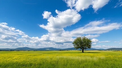 Poster - Solitary tree stands in vibrant yellow field under a bright blue sky with fluffy cumulus clouds, distant mountains visible on the horizon. : Generative AI