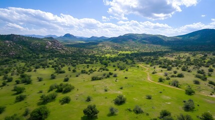 Poster - Aerial view of a vast, green valley nestled between rocky mountains under a partly cloudy sky, showcasing a winding dirt road traversing the landscape. : Generative AI
