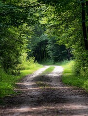 Leinwandbilder - Sunlit path winding through a lush green forest, dappled sunlight filtering through leaves, creating a tranquil and serene atmosphere. : Generative AI