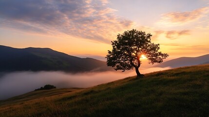 Poster - Solitary tree silhouetted against a vibrant sunrise over a misty mountain valley, showcasing a serene and peaceful landscape. : Generative AI