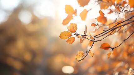 Poster - Autumnal Sunlight Illuminates Delicate Branch with Golden Leaves, Soft Bokeh Background : Generative AI