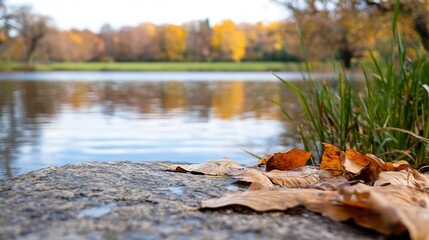 Fototapete - Autumn leaves rest on a stone by a calm lake, reflecting the colorful trees of the fall season.  A tranquil autumnal scene. : Generative AI