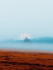 Wall Mural - misty landscape at dawn with fog rolling over a field and a tree silhouetted against the light