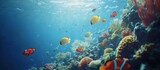 Vibrant coral reef teeming with colorful fish in clear ocean water.