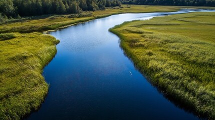Poster - Aerial view of a serene river meandering through lush green vegetation and a tranquil forest backdrop, showcasing the beauty of untouched nature. : Generative AI