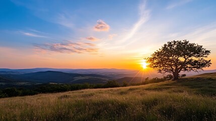 Poster - Majestic oak tree silhouetted against a vibrant sunset over rolling hills and a vast, tranquil landscape. Golden hour light bathes the scene in warm hues, creating a serene and peacefu : Generative AI