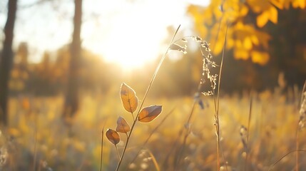 Poster - Golden hour sunlight illuminates delicate autumn leaves and tall grasses in a blurred forest background, creating a serene and peaceful nature scene. : Generative AI