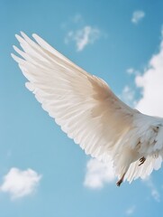 Poster - Close-up view of a bird's large, white wing against a vibrant blue sky with soft, fluffy clouds.  The feathers are detailed and soft-looking, suggesting peace and freedom. : Generative AI
