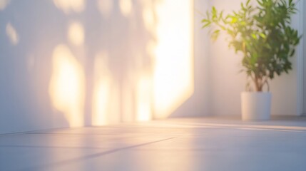 Poster - Soft sunlight illuminates a minimalist room, casting gentle shadows on a pale wall and floor, with a potted plant adding a touch of nature to the serene scene. : Generative AI