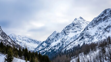 Poster - Majestic snow-capped mountains rise dramatically under a pale winter sky, their peaks piercing the clouds, while a dark evergreen forest blankets the valley below. : Generative AI
