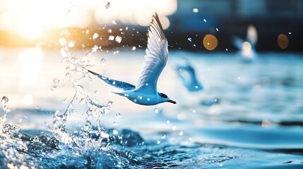 Fototapete - A white seagull in flight, skimming low over the water, creating a spray of blue water droplets. Golden sunlight illuminates the scene. : Generative AI
