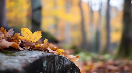Aufkleber - Autumnal scene featuring a vibrant yellow maple leaf resting on a moss-covered tree stump, surrounded by fallen leaves in a blurred forest background. : Generative AI