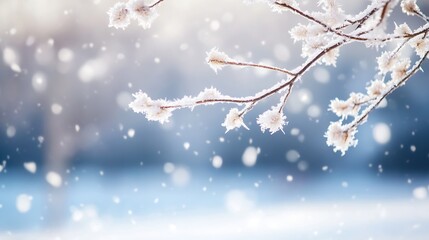 Poster - A frosty winter branch with delicate snow crystals, showcasing a serene winter landscape with falling snow and a blurred background. : Generative AI