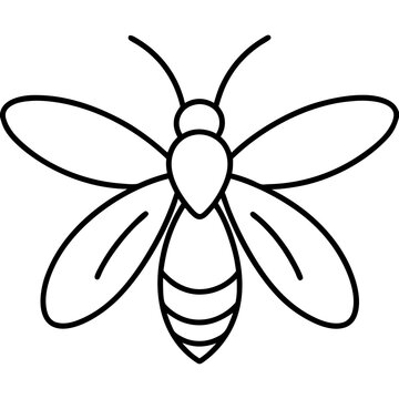 Elegant Firefly Outline Illustration