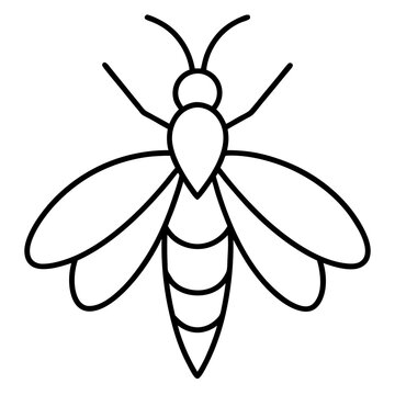 Elegant Firefly Outline Illustration