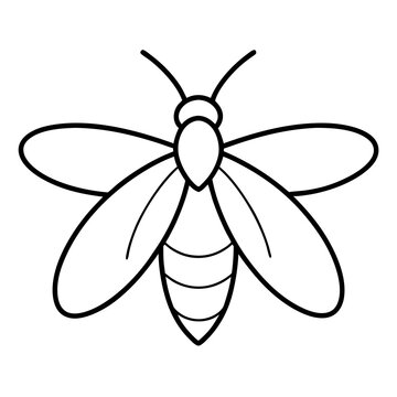 Elegant Firefly Outline Illustration