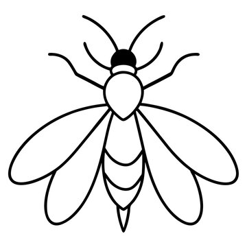 Elegant Firefly Outline Illustration