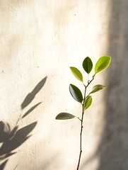 Aufkleber - A single plant sprig with vibrant green leaves casts a shadow against a textured beige wall, bathed in sunlight. : Generative AI
