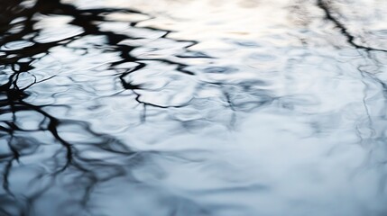 Aufkleber - Abstract reflection of winter tree branches in calm water, creating a serene, blurred, monochromatic image with cool blue and grey tones. : Generative AI