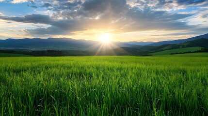 Poster - Serene sunset over a vast green field, rolling hills, and distant mountains. Golden hour light casts long shadows, creating a peaceful landscape. : Generative AI