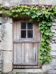 Aufkleber - Rustic wooden door with ivy climbing a weathered stone wall, showcasing a charming, vintage aesthetic. The aged wood and stone create a sense of history and tranquility. : Generative AI