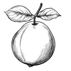 Poster - Detailed flat black icon of a ripe peach fruit with leaves, showcasing natural curves and textures