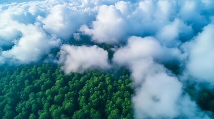 Aufkleber - Aerial view of a lush green forest canopy partially obscured by a thick layer of white cumulus clouds, creating a dramatic and serene natural landscape. : Generative AI