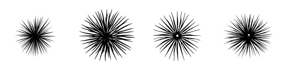 Poster - Black icon of starburst shapes representing dynamic energy and movement in design applications