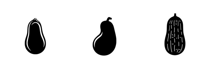 Poster - Flat black icons representing different types of squash arranged in a row, showcasing their unique shapes and forms