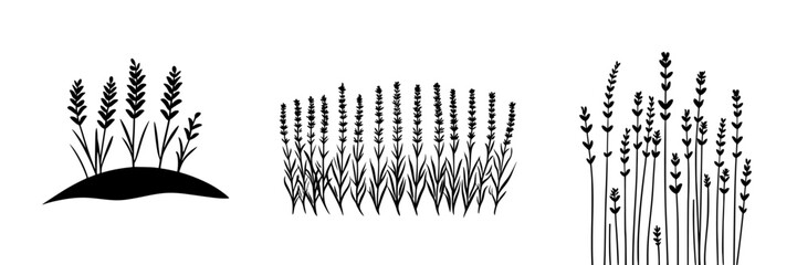Poster - Stylized flat black icon depicting lavender plants in varying arrangements on a white background