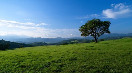 Poster - Solitary tree stands tall on grassy hilltop, overlooking a vast mountain range under a vibrant blue sky with wispy clouds. Tranquil landscape photo. : Generative AI