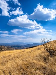 Poster - A panoramic view of a golden, dry grassland gently sloping down towards a distant mountain range under a vibrant blue sky dotted with fluffy white cumulus clouds. : Generative AI