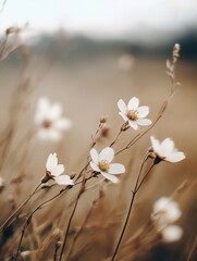 Leinwandbilder - Delicate white wildflowers sway gently in a field of muted brown grasses under a soft, hazy sky, creating a serene and peaceful natural scene. : Generative AI