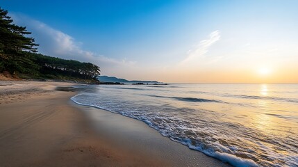 Aufkleber - Serene sunrise over a tranquil beach, showcasing golden sunlight reflecting on calm ocean waves gently lapping a sandy shore lined with lush pine trees. : Generative AI