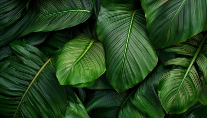 lush green tropical leaves close up