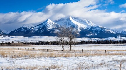 Poster - Snowy mountain range viewed from a winter field with a wooden fence and two leafless trees in the foreground, under a partly cloudy blue sky. : Generative AI