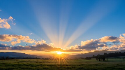 Aufkleber - Majestic sunset over a tranquil green pasture, sun rays bursting through clouds illuminating the landscape, creating a serene and peaceful atmosphere. : Generative AI