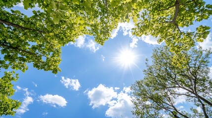 Poster - Looking up at a bright sun shining through lush green tree branches and fluffy white clouds in a vibrant blue sky, creating a serene and peaceful nature scene. : Generative AI
