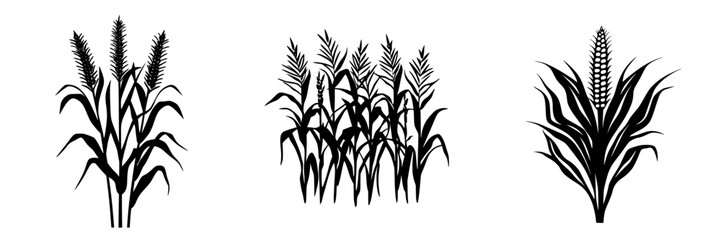 Poster - Flat black icon depicting stylized corn plants with varying heights and arrangements in a simple, minimalist design suitable for agricultural themes