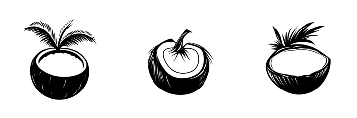 Poster - Collection of flat black coconut icons featuring whole and halved designs with palm leaves displayed in a minimalist style