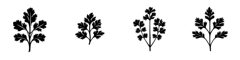 Poster - Flat black icons of various cilantro leaves showcasing different styles for culinary designs and illustrations