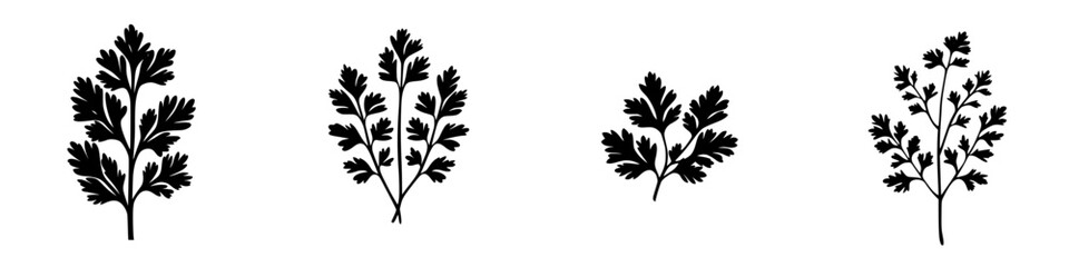 Poster - collection of flat black icons depicting various styles of herb leaves for design and illustration p