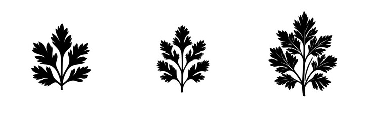 Poster - flat black icons of parsley leaves designed for culinary and botanical applications in illustrations