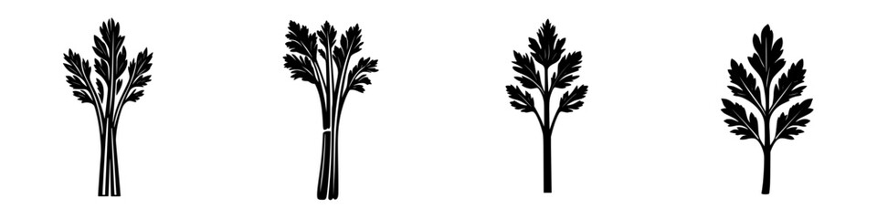 Poster - flat black icon representations of celery stalks in various orientations and details for design and 