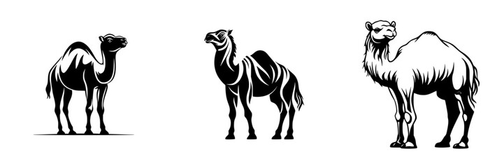 Poster - Flat black icons representing different types of camels in a minimalist style suitable for various design applications