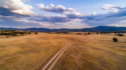 Poster - Aerial view of a dirt road winding through a vast, golden grassland under a partly cloudy sky, leading towards distant mountains. : Generative AI