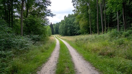 Aufkleber - A gravel path winds through a lush green forest, sunlight dappling through the leaves, creating a serene and peaceful atmosphere. : Generative AI