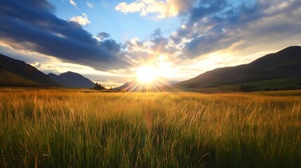 Aufkleber - Golden sunset over a vast highland meadow, sun rays illuminating tall grass, dramatic silhouette of mountains in the background, peaceful serene landscape. : Generative AI