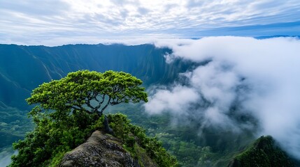 Poster - Lush green tree stands on a rocky cliff overlooking a misty valley and majestic mountains, creating a serene and breathtaking landscape. : Generative AI