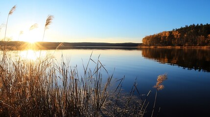 Poster - Serene autumn sunset over a calm lake, reflecting golden trees and tall grasses in the tranquil water.  The sun's rays illuminate the scene, creating a peaceful and picturesque landsca : Generative AI